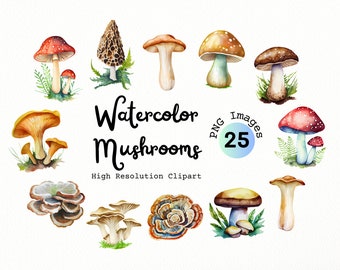 Watercolor Mushroom Clipart – 25 PNG Forest Designs (Digital Download)