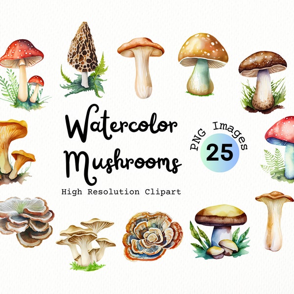 Paquet de Clipart de champignons aquarelle - format PNG avec fond transparent | Nature | Clipart de forêt de champignons magiques | Champignon féerique