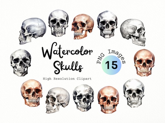 Watercolor Skulls Clipart Bundle - PNG format with transparent background | Human Skull Illustrations | Skeleton Clipart | Halloween Clipart