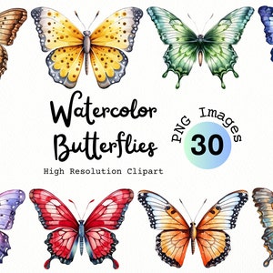 Butterfly Clipart | Watercolor Butterflies PNG | Summer Clipart | Butterfly Painting | Monarch Butterfly | Garden Clipart | Floral | Flowers