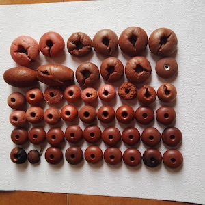 Può includere: Una collezione di perline di argilla marrone, alcune con fori e altre con una superficie liscia. Le perline sono disposte in file su una superficie bianca.