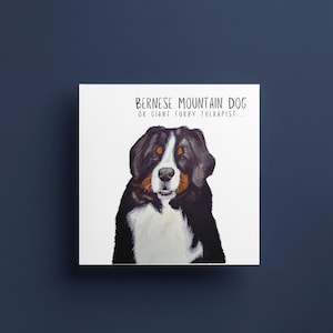 Berner Sennenhund Grußkarte: Berner Therapie im Umschlag.