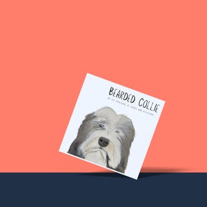 Hairy Wishes & Tailspins: wenskaart Bearded Collie