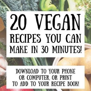 20 Vegan Recipes You Can Make in 30 Minutes!