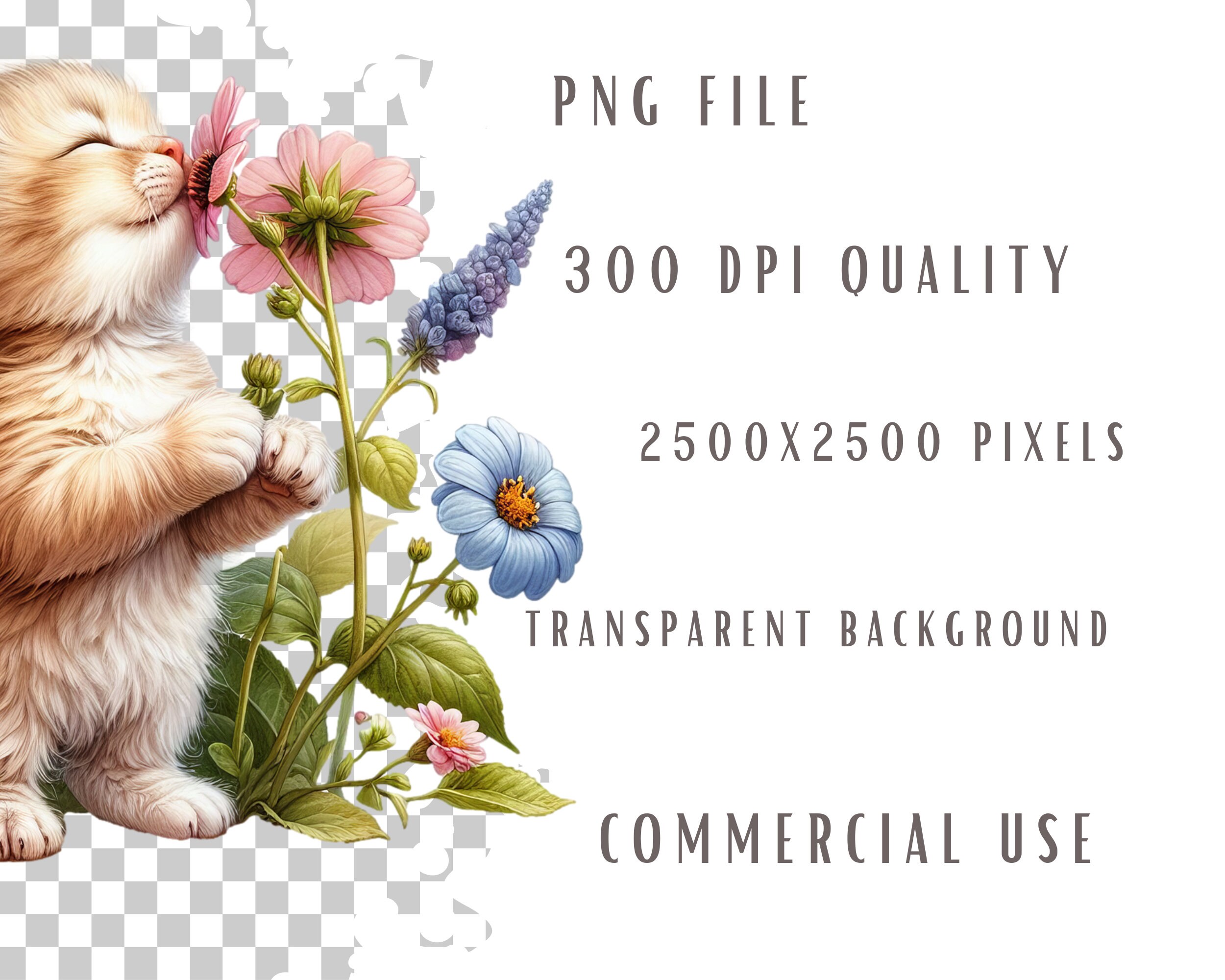 Baby Cat and Flowers Clipart Bundle, Kitten Clipart, Cute Cat Graphics,  Kitten Designs, With Transparent Background and Commercial Use - Etsy, image size:2500x2000