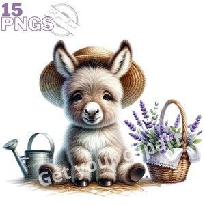 Ensemble d'illustrations de bébé âne et de lavande, clipart d'ânon pour tous vos projets créatifs, usage commercial inclus