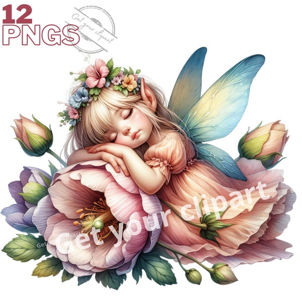 Conjunto de ilustraciones de hadas durmiendo en flores, clipart de hadas para todos tus proyectos creativos, uso comercial incluido