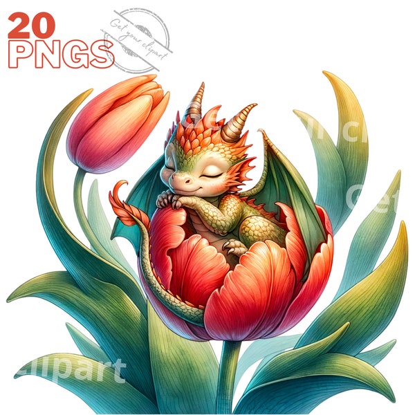 Dragons and flowers Clipart Bundle, Cute baby dragon, Baby dragon png, Dragon watercolor, Fantasy clipart, With commercial use, Set of 20