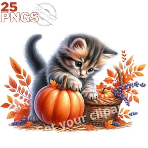Ensemble d'illustrations de chatons d'automne, clipart d'automne pour tous vos projets créatifs, usage commercial inclus