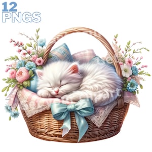 Ensemble d'illustrations de chaton dans un panier de Pâques pour tous vos projets créatifs et professionnels, usage commercial inclus