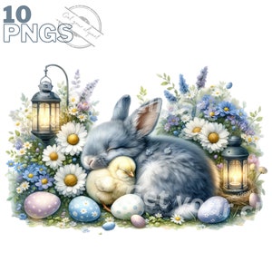Set mit Osterhasen- und Küken-Illustrationen für alle Ihre kreativen und professionellen Projekte, einschließlich kommerzieller Nutzung