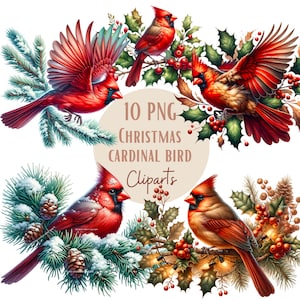 Ensemble d'illustrations d'oiseau Cardinal de Noël, Cliparts d'oiseaux de Noël façon aquarelle pour tous vos projets créatifs