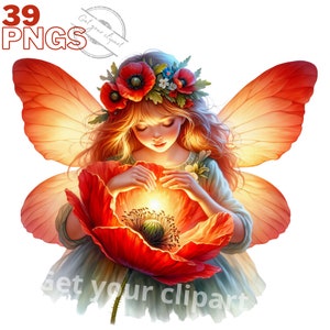 Ensemble d'illustrations de fées coquelicot, cliparts féériques pour tous vos projets créatifs, usage commercial inclus