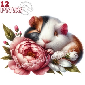 Ensemble d'illustrations de cochons d'Inde et de fleurs, cliparts de lapins pour tous vos projets créatifs, usage commercial inclus