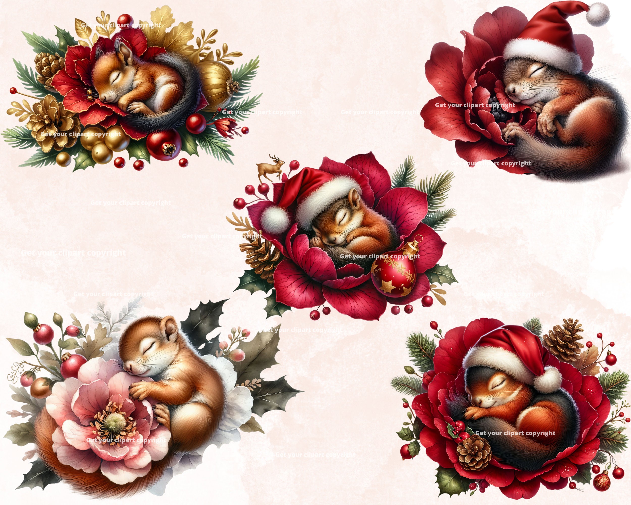 Christmas Squirrel Clipart Bundle, Christmas Clipart, Winter Png ...