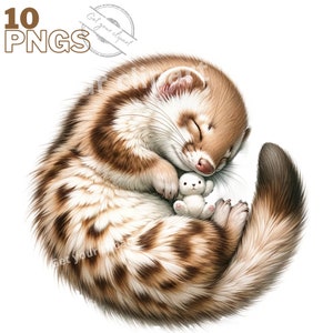 Set illustraties van schattige fretten met een knuffel, aquarel knaagdier clipart voor al uw creatieve projecten