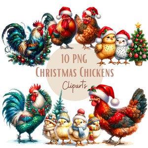 Set mit Illustrationen von Hühnern, Hähnen und Weihnachtsküken für alle Ihre kreativen und professionellen Projekte, einschließlich kommerzieller Nutzung