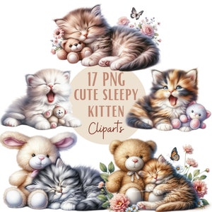 Serie di illustrazioni di un gattino addormentato contro un peluche per tutti i tuoi progetti creativi e professionali, incluso l'uso commerciale