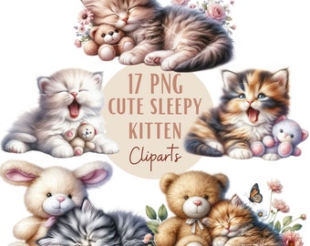 Cute sleepy kitten clipart bundle, Kitten clipart, Cute kitty graphics, Kitten pngs, With transparent background and commercial use