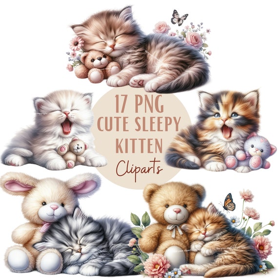 Ensemble d'illustrations de chaton endormi contre une peluche pour tous vos projets créatifs et professionnels, usage commercial inclus
