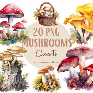 Ensemble d'illustrations de champignons, cliparts de champignons pour tous vos projets créatifs et professionnels, usage commercial inclus