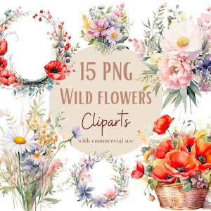 Ensemble d'illustrations de fleurs sauvages, Cliparts de fleurs des champs façon aquarelle pour tous vos projets créatifs et professionnels