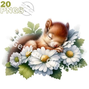Ensemble d'illustrations d'écureuil et de fleurs, cliparts de fleurs pour tous vos projets créatifs , usage commercial inclus