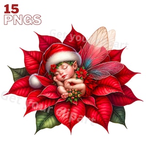 Ensemble d'illustrations de fées et de fleurs, cliparts d'hiver pour tous vos projets créatifs et professionnels, usage commercial inclus