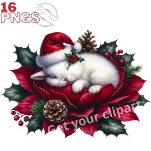 Ensemble d'illustrations d'écureuil de Noël endormi dans une fleur, cliparts d'hiver pour tous vos projets créatifs, usage commercial inclus