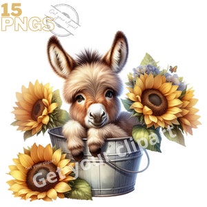 Set aus Baby-Esel- und Sonnenblumen-Illustrationen, Esel-Clipart für alle Ihre kreativen Projekte, kommerzielle Nutzung inklusive