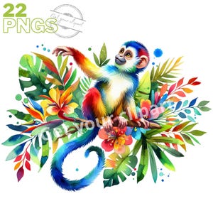 Ensemble de cliparts de jungle, image d'été PNG pour vos projets créatifs, usage commercial inclus, cliparts aquarelle