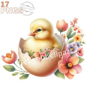 Ensemble d'illustrations de poussin dans un oeuf de Pâques pour tous vos projets créatifs et professionnels, usage commercial inclus