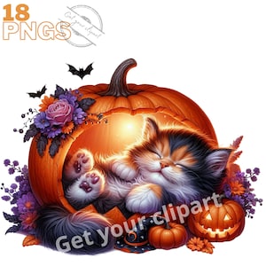 May include: A cute orange and black cat sleeps inside a carved out orange pumpkin. The pumpkin is surrounded by purple and pink flowers. The cat has its eyes closed and is curled up in a ball. The image is set against a white background.