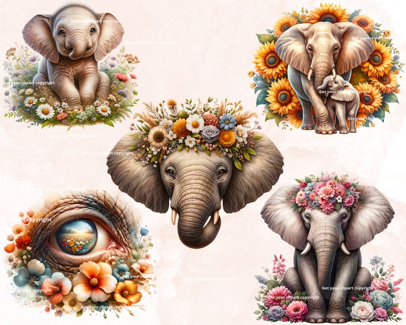 May include: Five digital illustrations of elephants with floral crowns and backgrounds. The elephants are in various poses, including a baby elephant with its mother, an elephant with a flower crown, and an elephant with its eye visible.