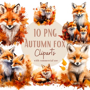 Ensemble d'illustrations de renards roux, cliparts d'automne pour tous vos projets créatifs et professionnels, usage commercial inclus