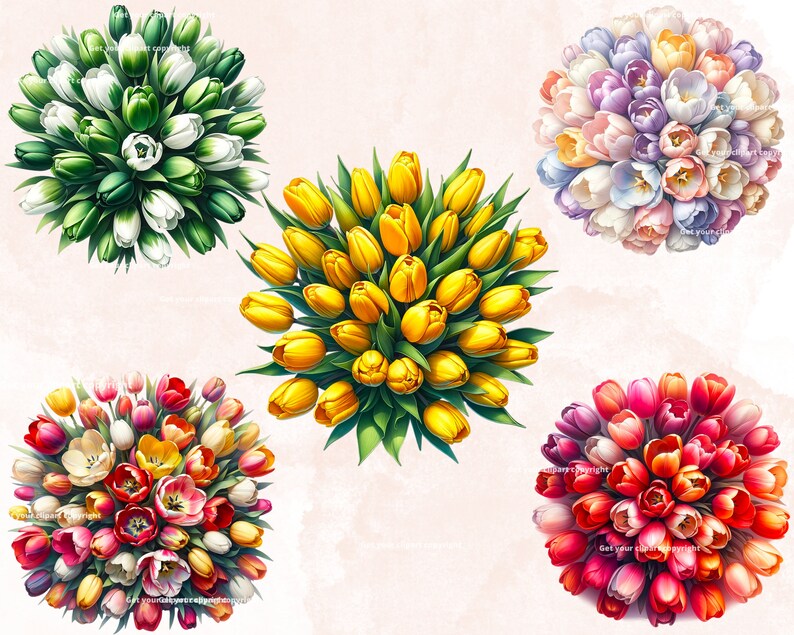 Spring Tulips Clipart Bundle, Watercolor Flowers Clipart, Spring Png ...