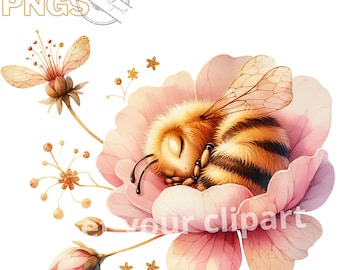 Cute sleepy Bee clipart bundle, Bee png files, Spring clipart, Honeybee clipart, Bee in flower png, Summer graphics, With Commercial use