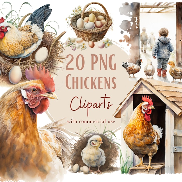 Chicken png files, watercolor chicken clipart, watercolor rooster clipart, baby chick clipart, hen clipart, watercolor clipart, clipart