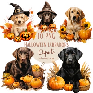 Images de Labrador d'Halloween, Images PNG de chiens labrador pour vos projets créatifs ou professionnels, usage commercial inclus