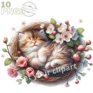 Kitty in a basket clipart bundle, Kitten clipart, Cute cat graphics, Kitten designs, With transparent background and commercial use