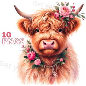 Images de Highland de Saint-Valentin, Images PNG de Saint-Valentin pour vos projets créatifs ou professionnels, usage commercial inclus