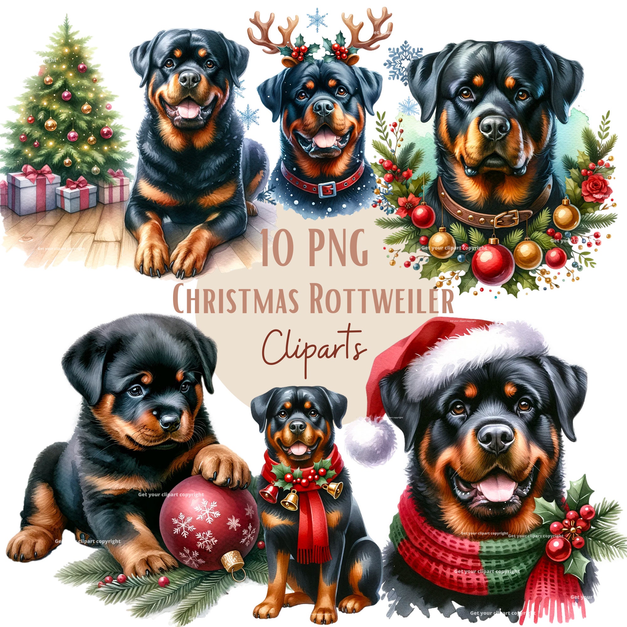 Poteau Main Courante Acier Inox 105 Degrés 1-3/8" - Pour Bateau Boston Whaler Classique