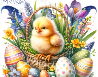 Easter chick clipart bundle, Easter clipart, Easter graphics, Easter designs, With transparent background and commercial use