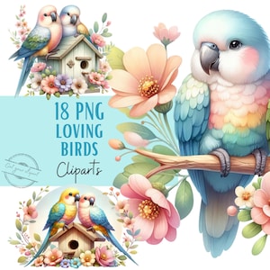 Ensemble d'illustrations de couple d'oiseaux, Clipart d'oiseaux façon aquarelle pour tous vos projets créatifs et professionnels