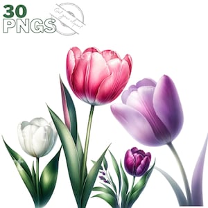 Set aus Tulpenillustrationen, Aquarell-Frühlingsblumen-Cliparts für alle Ihre kreativen und professionellen Projekte