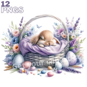 Easter bunny in a basket clipart bundle, Easter clipart, Easter graphics, Easter designs, With transparent background and commercial use