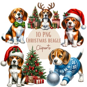 Images de Beagle de Noël, Images PNG de chiens Beagle pour vos projets créatifs ou professionnels, usage commercial inclus