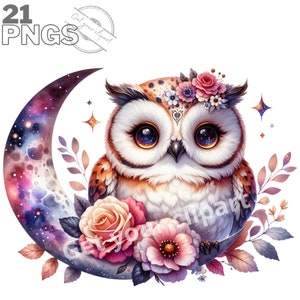 Ensemble d'illustrations de chat céleste, cliparts pour tous vos projets créatifs et professionnels, usage commercial inclus