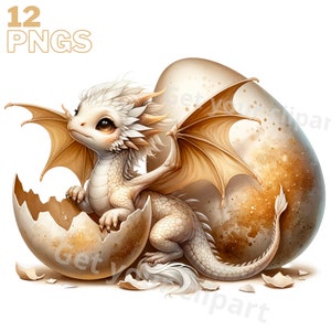 Ensemble d'illustrations de dragons couleur ivoire et or , Cliparts façon aquarelle pour tous vos projets créatifs et professionnels