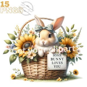 Ensemble d'illustrations de lapins mignons, cliparts de lapins pour tous vos projets créatifs et professionnels, usage commercial inclus